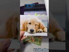 ورقة الصور الرائعة للطابعات Epson / Canon / HP واسعة الشكل